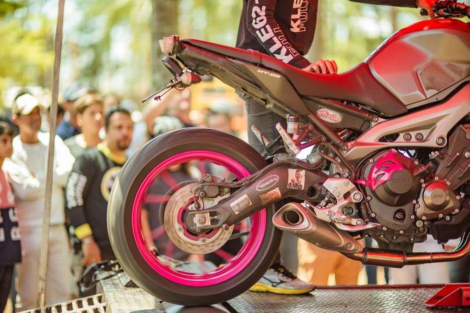 imagens Castelo Riders